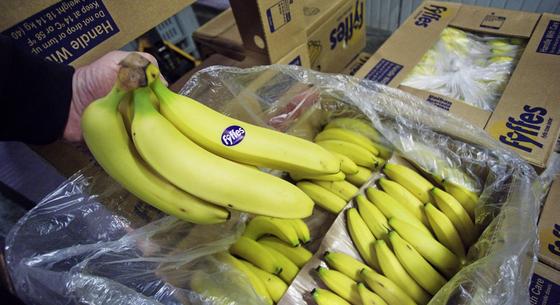 Nagy a baj: a klímaváltozás felfelé lökheti a banán árát is