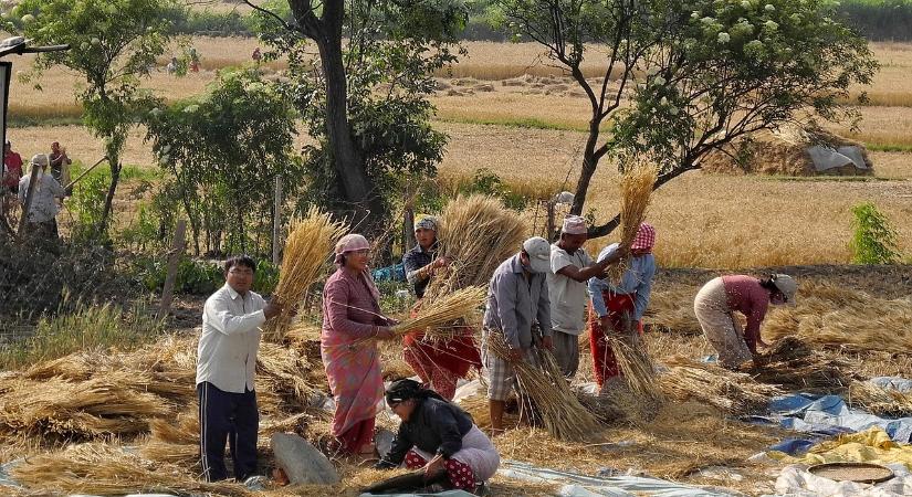 Egy egész nepáli falu eladta a veséjét – azt hitték, visszanő