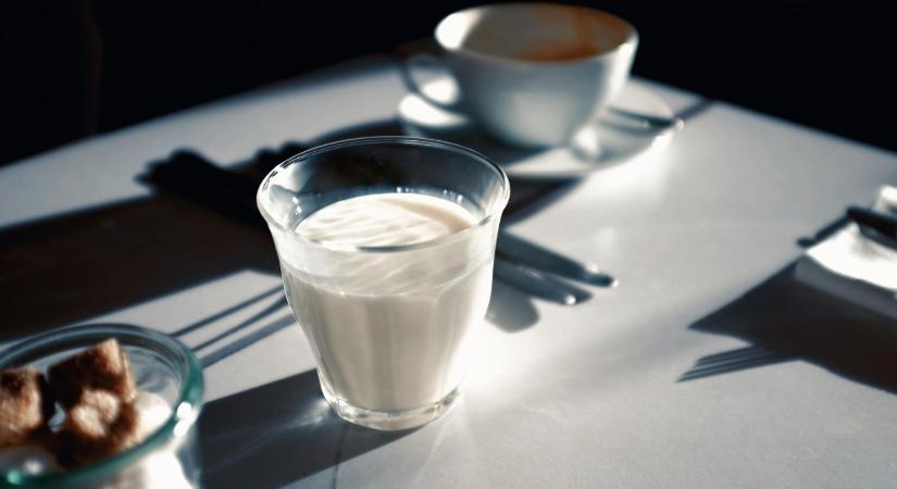 Minden TEJben dől el: te tudod, melyik tej(pótló) a legjobb választás?