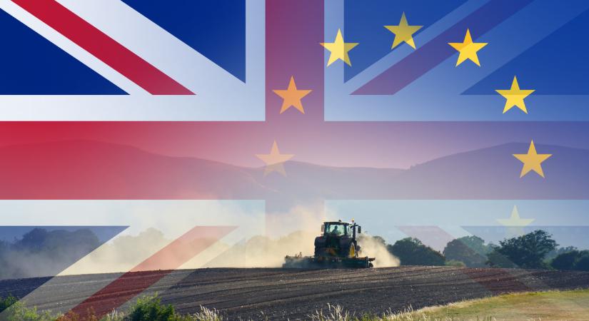 Brexit: egyre kevésbé éri meg élelmiszert szállítani a briteknek