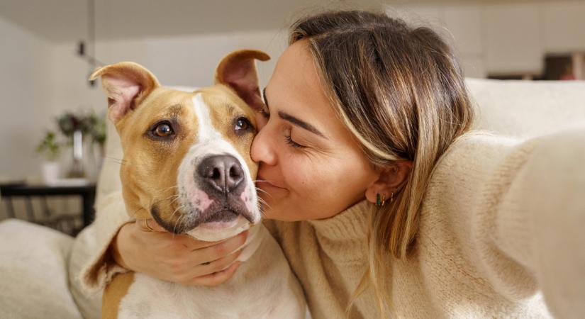 A kutyatartás legfontosabb előnyei – 7 érv négylábú társaink mellett