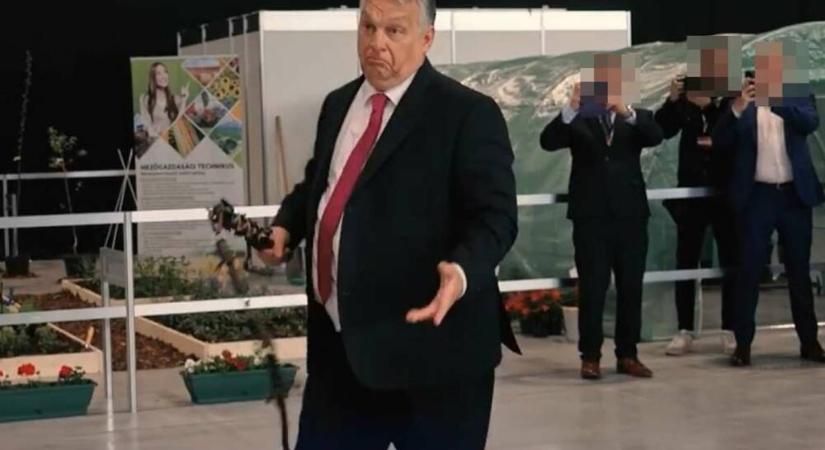 Ízlelgesse, mert sokat hall majd róla: háborús benzinár – Nincs kétség: Orbán jön és kétvállra fekteti