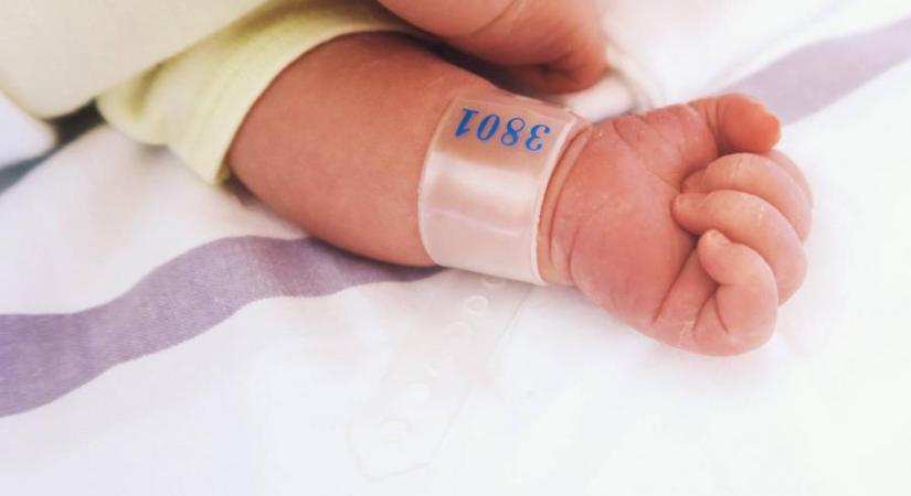 Egészséges csecsemőt hagytak a hatvani kórház inkubátorában