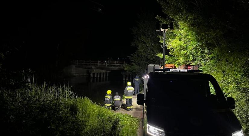 Lovaskocsi hajtott Duna-Tisza-csatornába Alsónémedinél, két állat elpusztult