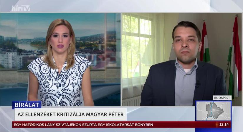 Cseh Katalin szerint Magyar Péter az ellenzéket kritizálja  videó