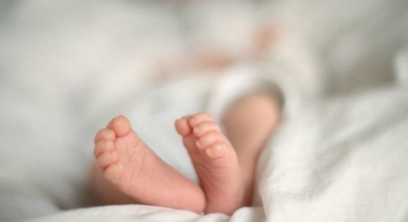 Újszülött kislányt hagytak a Heim Pál Gyermekkórház inkubátorában: imádni való fotó készült róla