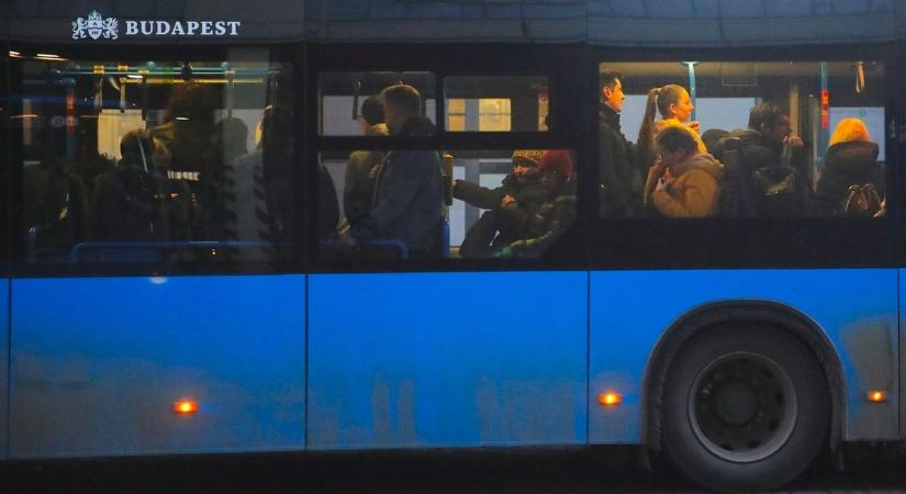 Ilyet tuti ritkán látsz: Kedvenc tyúkjával buszozott egy idős férfi Budapesten – Fotó