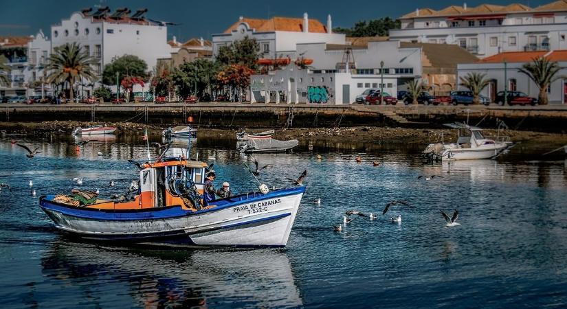 Így színezte át Portugália legszebb régióját a jobboldali párt