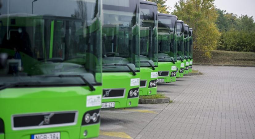 Pécsi buszper: az ítélőtábla megalapozatlannak találta a felmentő ítéletet a 650 milliós csalás ügyében