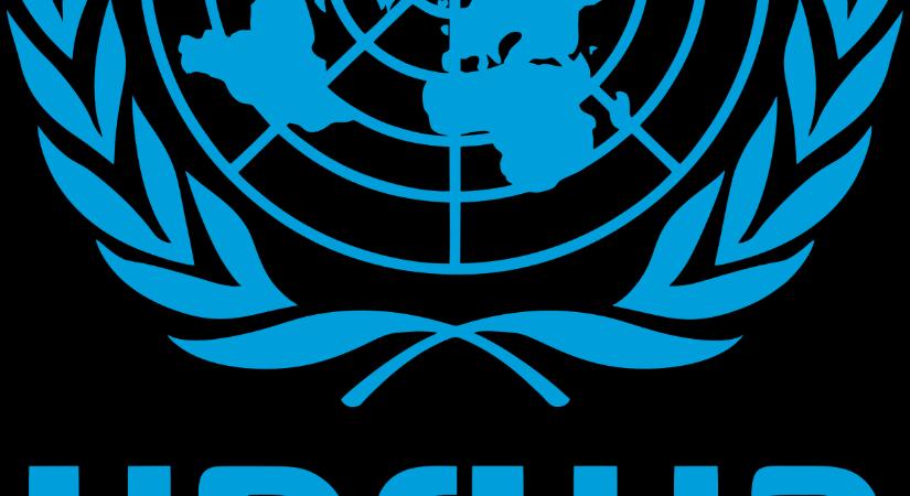 Az UNRWA független vizsgálatot sürget gázai alkalmazottai letartóztatása és halála ügyében