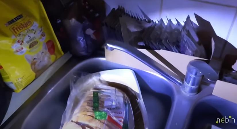 Állateledelt is találtak a pesti horrorétterem mosogatójában – videóval
