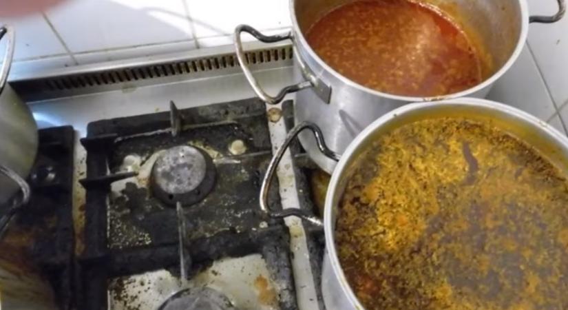 Megdöbbentő higiéniai hiányosságokat tárt fel a Nébih egy II. kerületi étteremben  videó