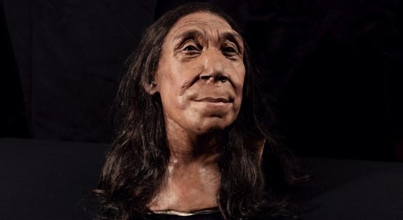 Neandervölgyi nő arcát rekonstruálták
