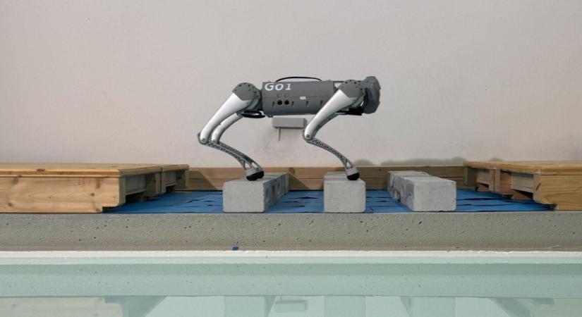 A négylábú robot az MI által spontán váltja a mozdulatokat