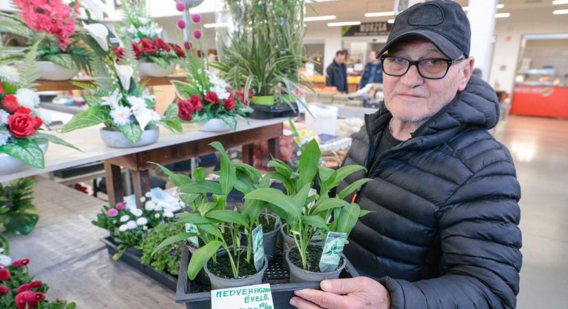 A szombathelyi piacon is beköszöntött a tavasz - Medvehagymából is találtunk bőséggel