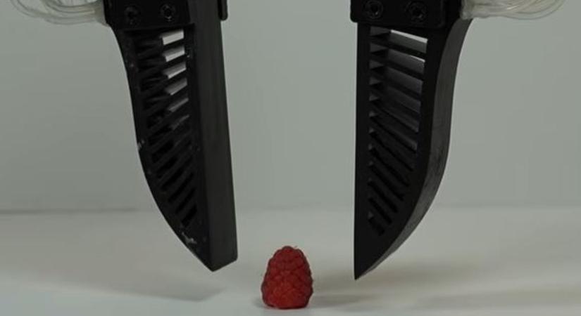 Váratlan fejlesztés Texasból: megoldódott az automatizált gyümölcsszedés legnagyobb gondja