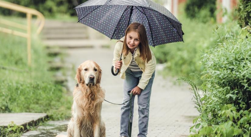 Marad a felhős idő