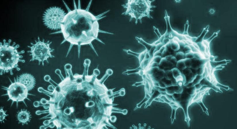 Megtalálták a bűnöst, ami az öregedést okozza