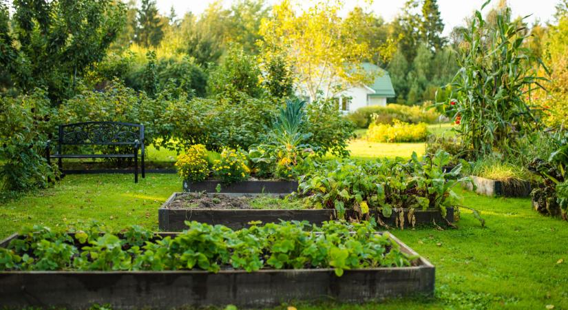 Sokan már most nekiesnek a kertnek – pedig ezt még tilos lenne