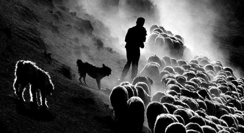 Kerekes István, lapunk fotósa harmadszorra is a fotóművészet világbajnoka