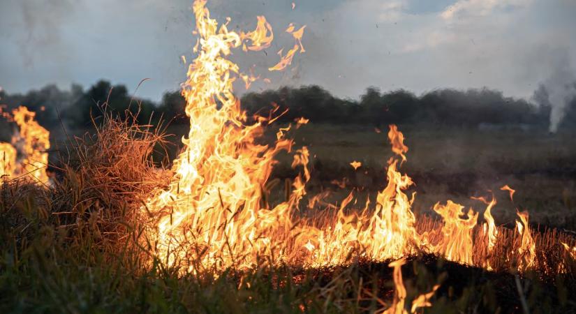 Tavaszi szél tüzet áraszt