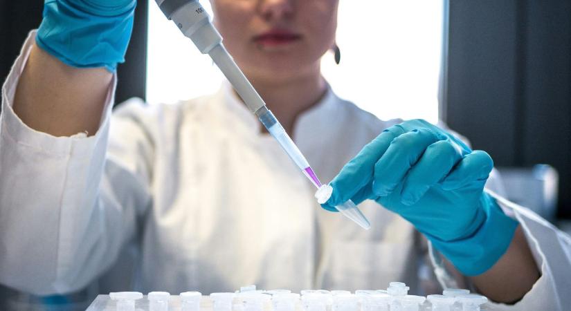 Digitális fordulat a Nébihnél: elkészült a világ legmodernebb élelmiszer-adatbázisa