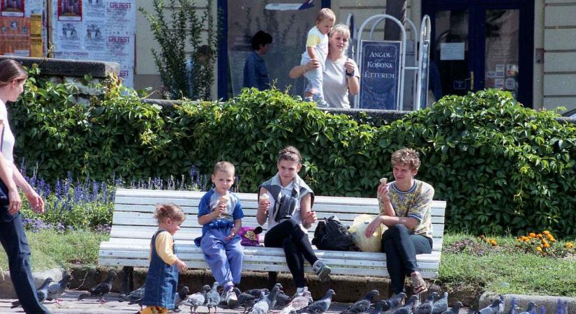 Imádtuk vagy utáltuk? A pécsi galambok története sokakat megoszt (GALÉRIA)
