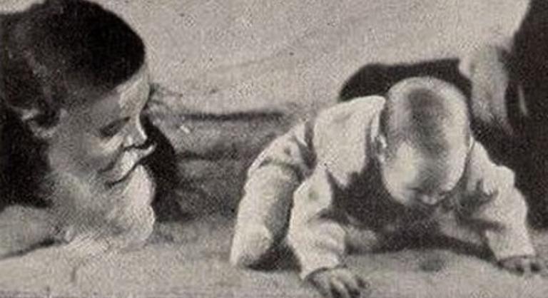 Íme a pszichológia legsötétebb kísérlete, amelynek főszereplője egy máig ismeretlen kisbaba