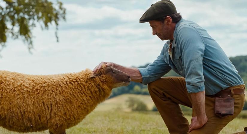 Birkakrimi: beszélő birkák nyomoznak Hugh Jackman új, izgalmas filmjében