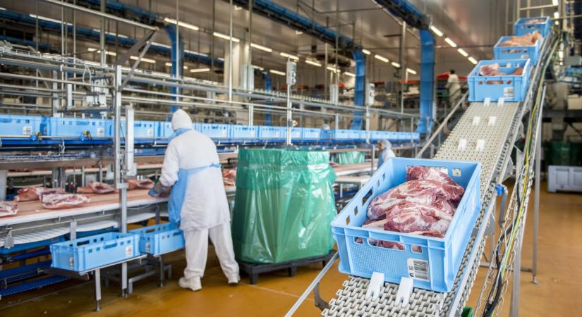 Fordulat a sertésáraknál, elkezdődött a drágulás