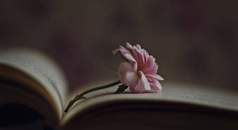 Hol született Ady? Híres magyar költők kvíze