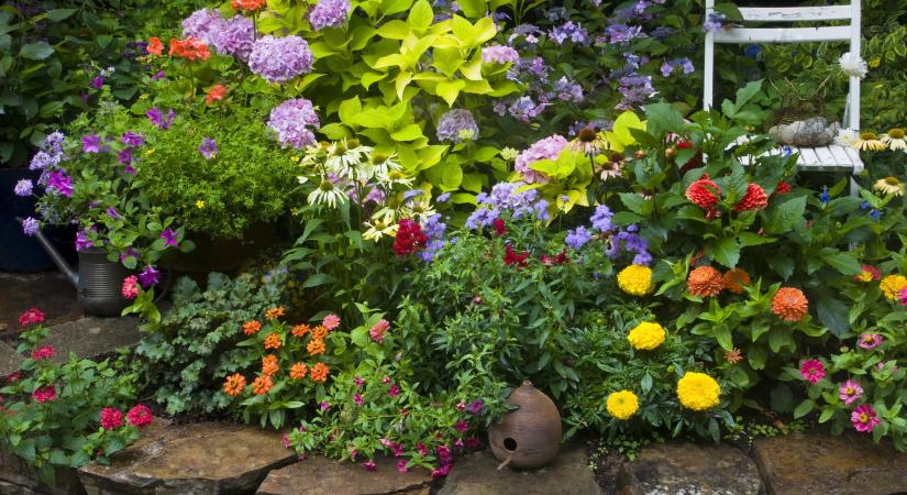 Meglepően egyszerű trükk, amitől szebb lesz a kerted vegyszer nélkül