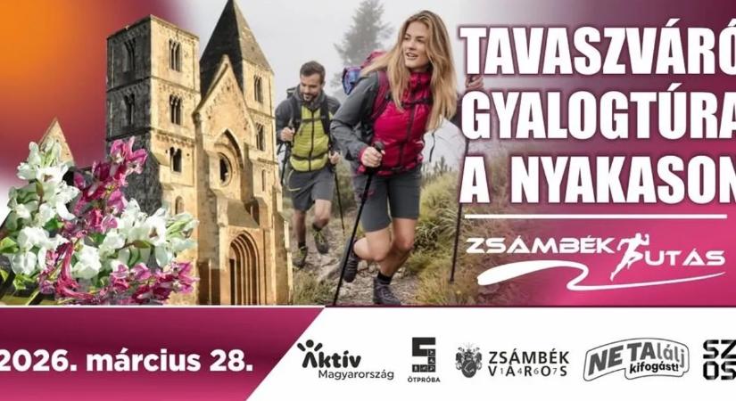 Gyalogtúra a Nyakas-hegyen – de futni is lehet!