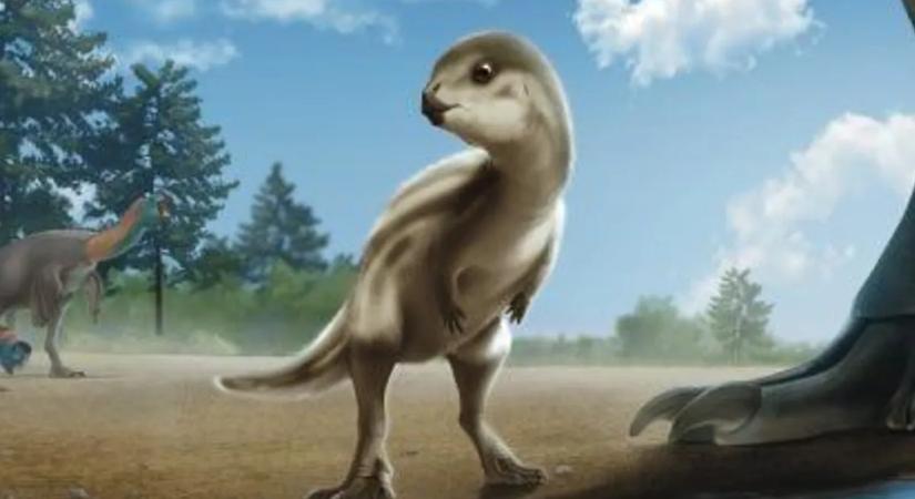 Áttörő felfedezés tettek a tudósok: egy teljesen új fajra sikerült rábukkanni