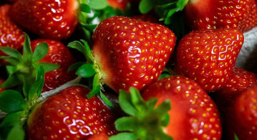 Veszélyben a tavaszi eper és dinnye: költséghullám tarolja le Andalúziát