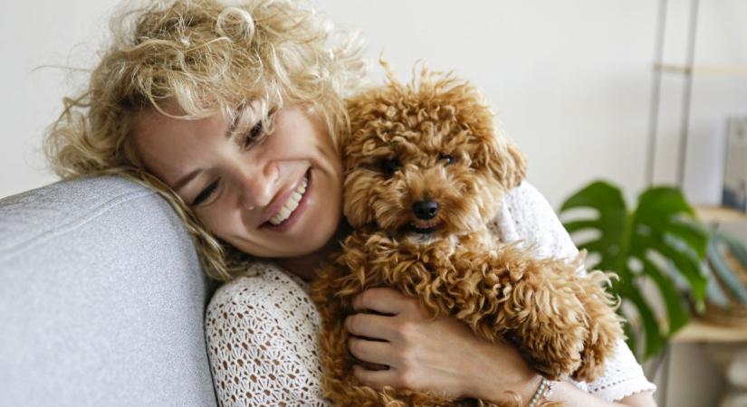 Lakásban tartott kutya? – Ezek a fajták érzik ott magukat igazán jól