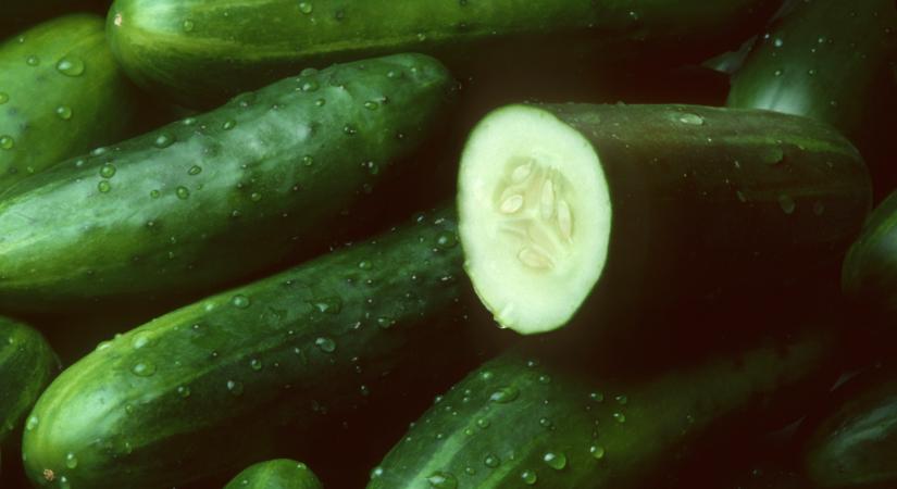 Váratlan hírek érkeztek az uborkáról: ezt nem sokan hitték volna