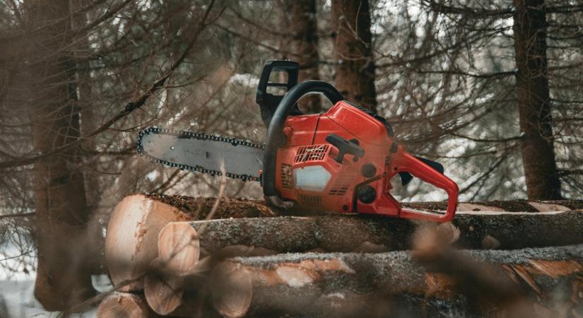 Vége az illegális erdővágásnak? – hírek szombaton