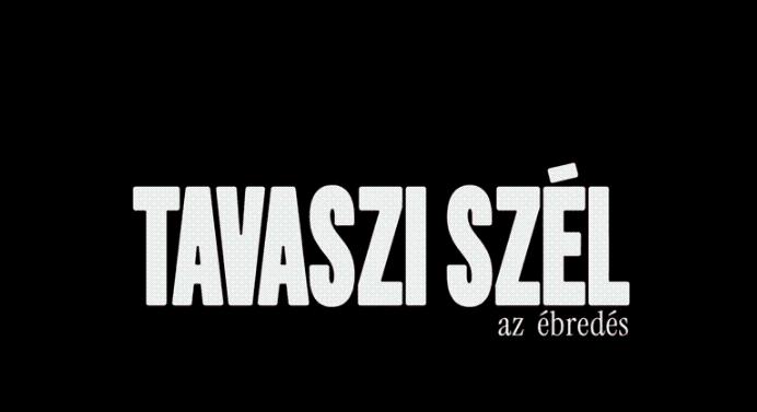 A kormányközeli Digitális Demokráciafejlesztési Ügynökség több száz jegyet vásárolt fel a Magyar-Péter filmre
