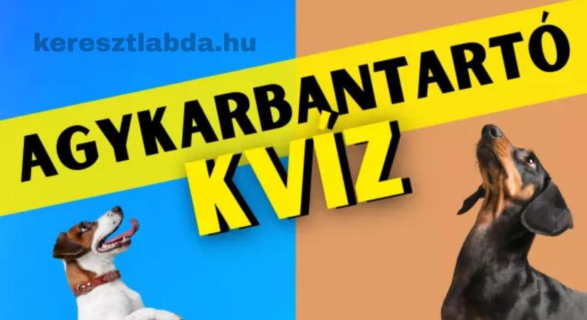 Agykarbantartó feladat: Csak a legélesebb megfigyelők képesek másodpercek alatt felidézni a keresett részletet.