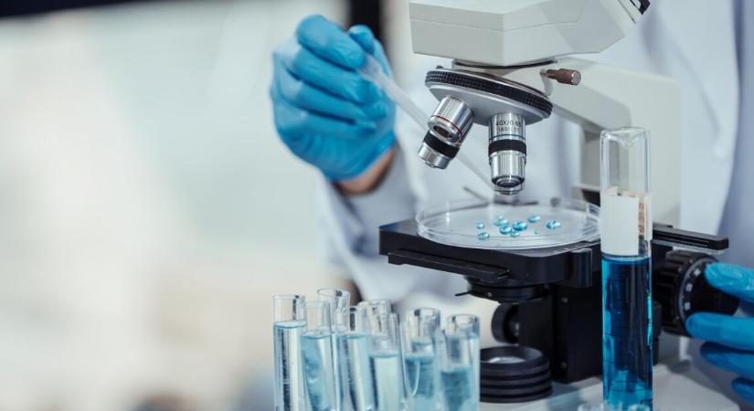 Élő baktériumokkal győznék le a rákot