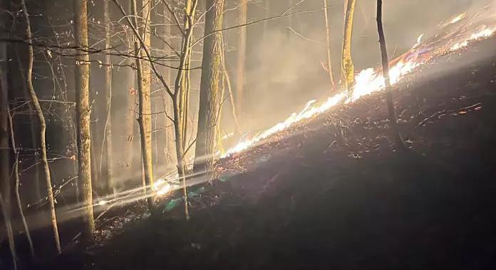 A tűzoltók és erdészek közösen fékezték meg az erdei aljnövényzet tüzét a Huszti járásban