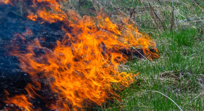 Hatalmas tűz Szabolcsban! Három településről érkeztek oltani a lángokat