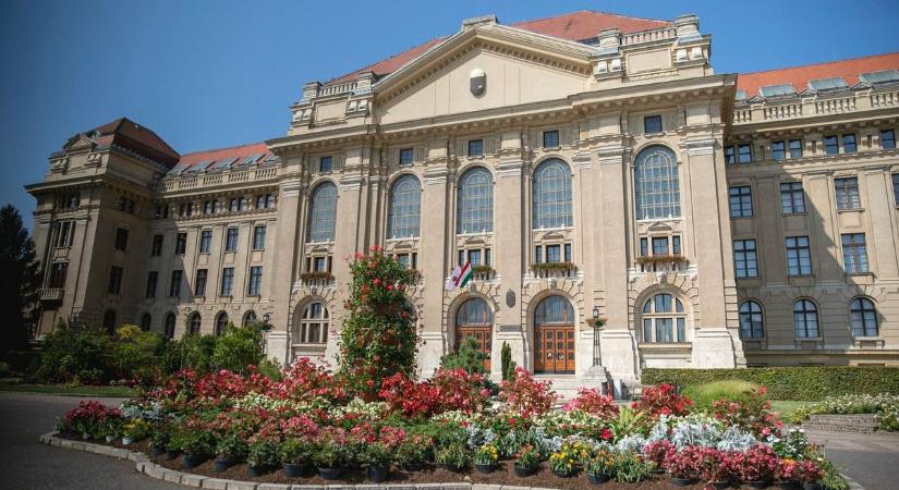 Rejtélyes debreceni gyilkosság rengette meg az egyetemet – halálra késeltek egy hallgatót