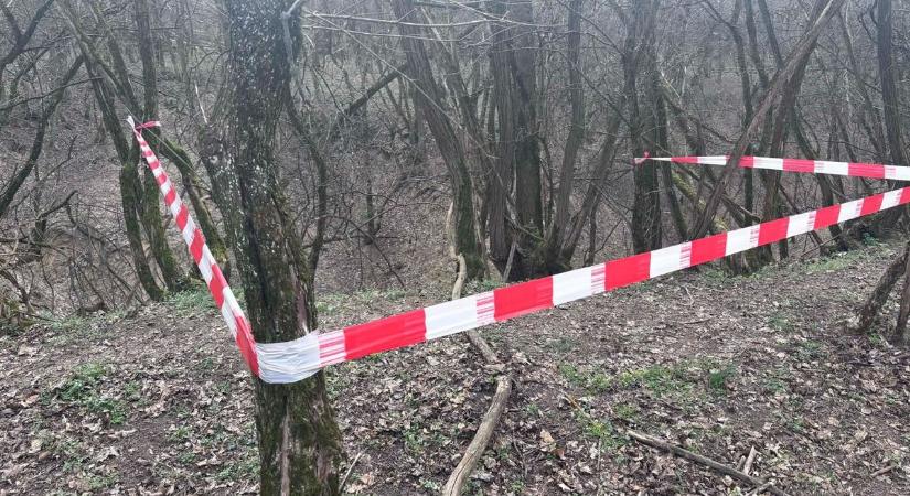 Életveszély a békés szombati sétán - erre nem számítottak a Hevesben járó turisták