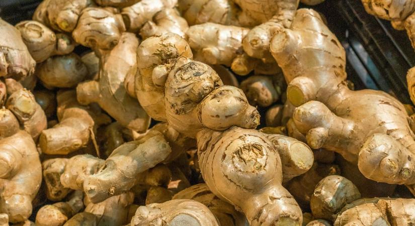 Gyömbérháború: Kína uralja a piacot, de a minőség és a távolság a versenytársaknak kedvez