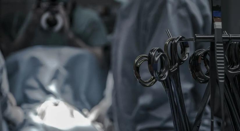 Elképesztő, mit találtak az orvosok egy tízéves gyerek gyomrában Budapesten