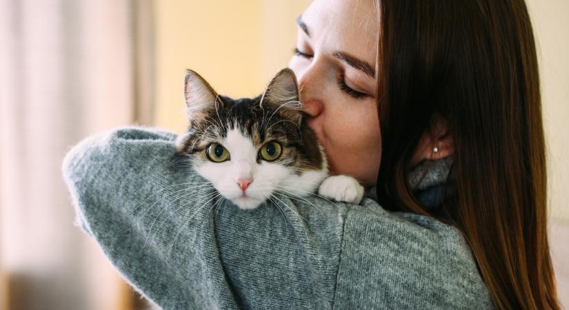 Meglepő összefüggést fedeztek fel a macskák és a rák között