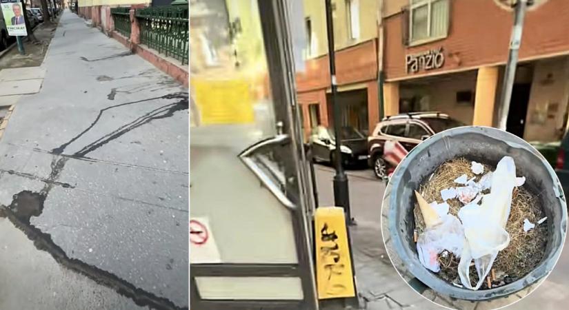 Elönti a kutyapisi a Mester utcát, a környék bűzlik a szennytől
