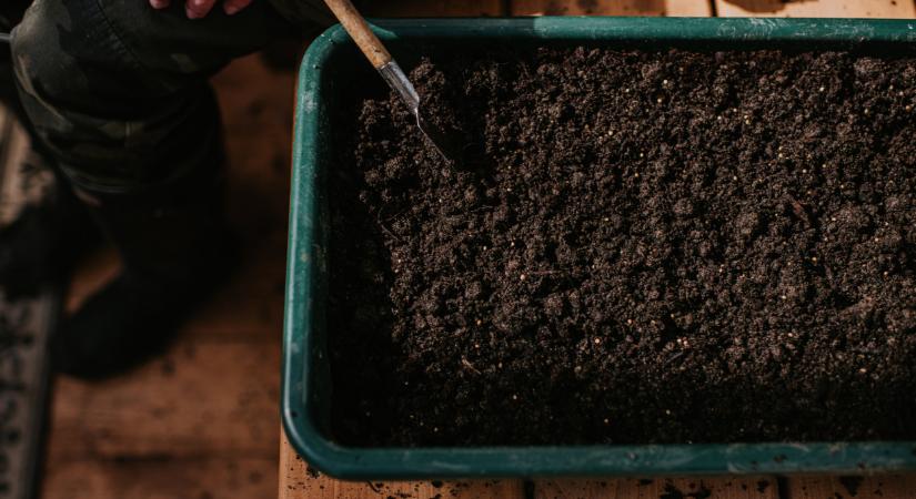 Filléres trükk, amit kevesen ismernek: ezt használd a drága virágföld helyett